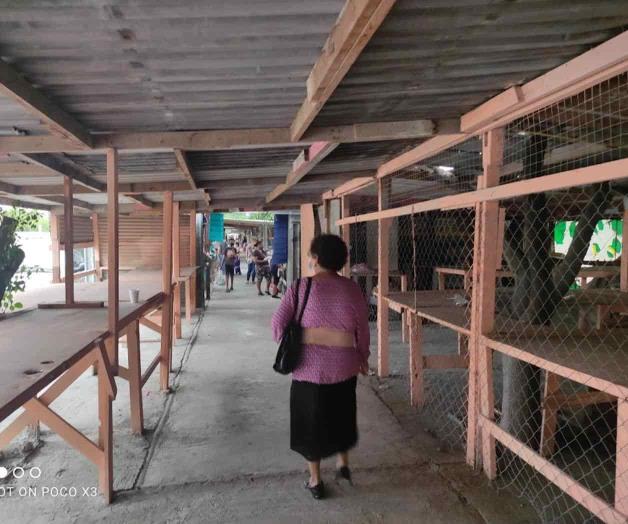 Piden fumigar tianguis nocturno