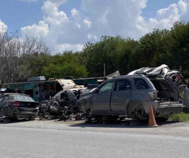 Pululan yonques en toda la ciudad