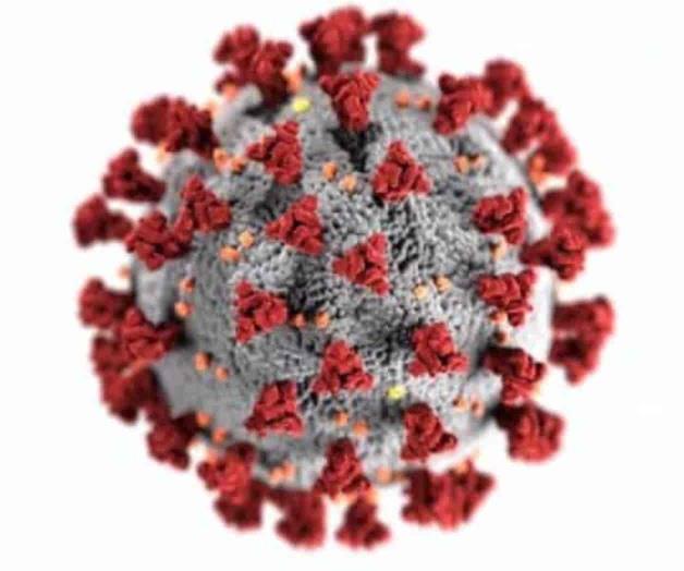 Este es el nuevo virus descubierto capaz de infectar como el SARS-CoV-2 Este es el nuevo virus descubierto capaz de infectar como el SARS-CoV-2