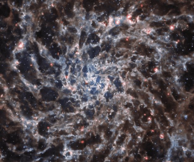 Webb desvela el enredado esqueleto de una galaxia espiral Webb desvela el enredado esqueleto de una galaxia espiral