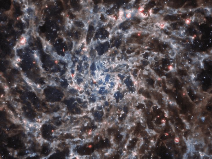 Webb desvela el enredado esqueleto de una galaxia espiral Webb desvela el enredado esqueleto de una galaxia espiral