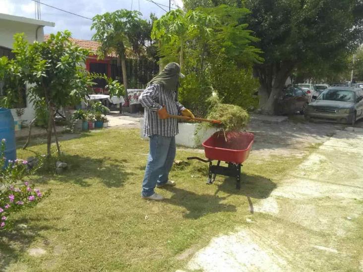 Mantienen limpieza en las áreas verdes Mantienen limpieza en las áreas verdes
