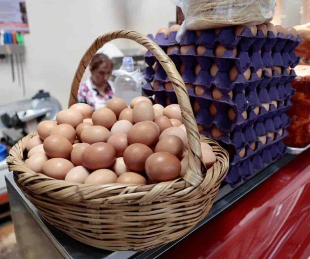 Suspender regulación de alimentos arriesga a consumidores