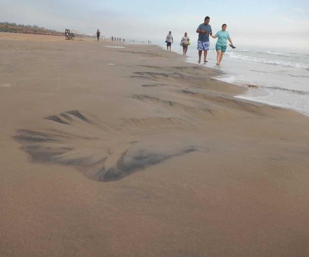 No hay marea roja en las playas del Sur No hay marea roja en las playas del Sur