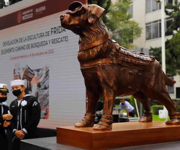 Homenajean a perrita Frida con escultura en Semar Homenajean a perrita Frida con escultura en Semar