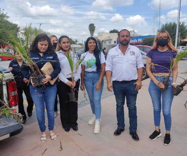 Convenian adquirir dos mil palmeras Convenian adquirir dos mil palmeras