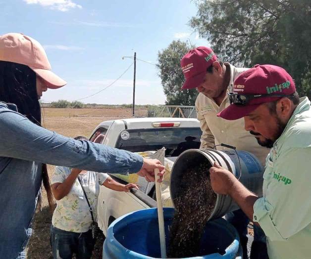 Dan asistencia en los huertos