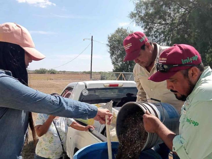 Dan asistencia en los huertos Dan asistencia en los huertos