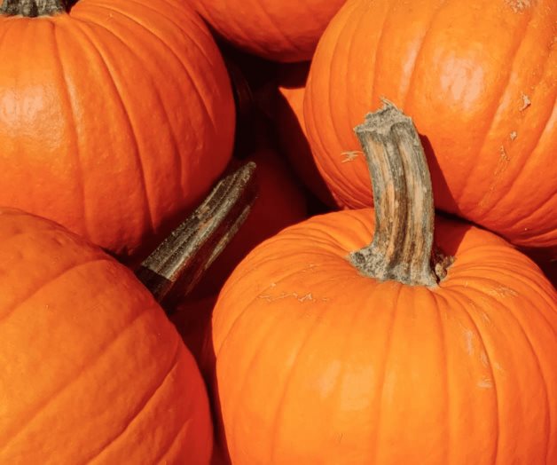 Enfermedades que puedes prevenir al comer calabaza de castilla