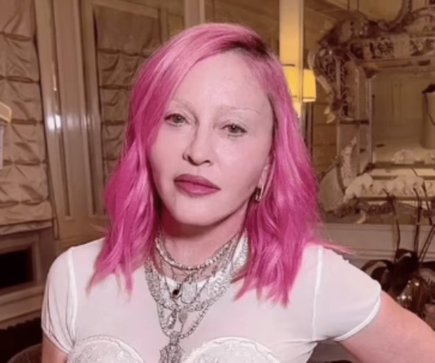 Aseguran  que Madonna  se declar&oacute; gay  en TikTok 