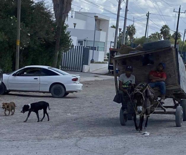 Sin orden los carretoneros