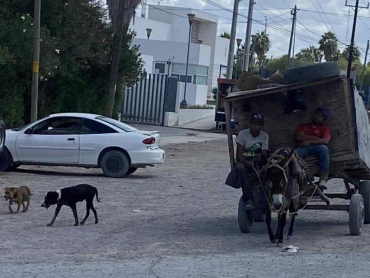 Sin orden los carretoneros Sin orden los carretoneros