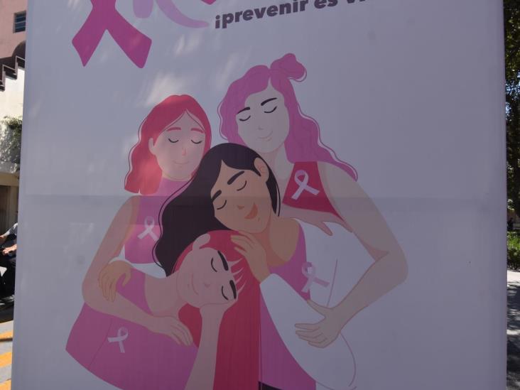 Platillos rosas contra cáncer Platillos rosas contra cáncer