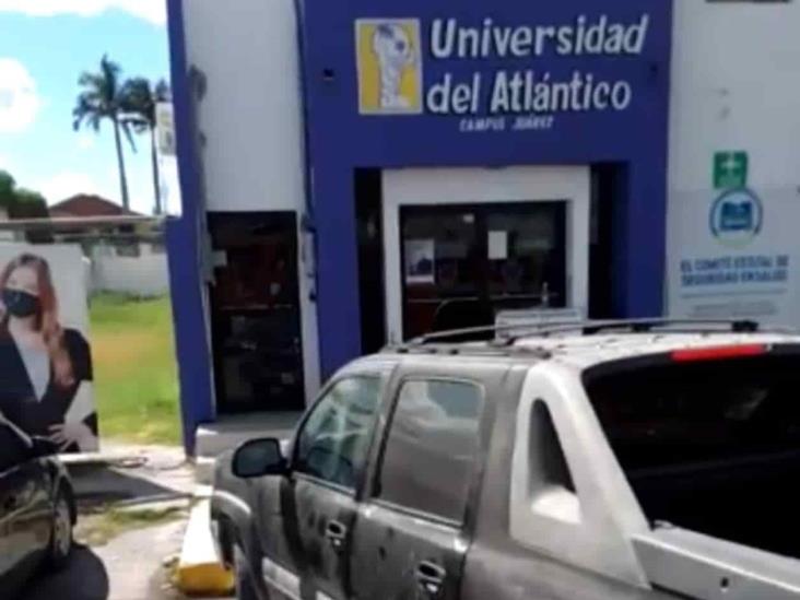 Impiden abejas salida de alumnos de universidad Impiden abejas salida de alumnos de universidad