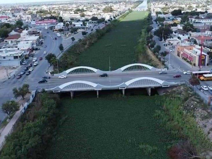 Promete AMLO intervenir en problema del lirio acuático Promete AMLO intervenir en problema del lirio acuático