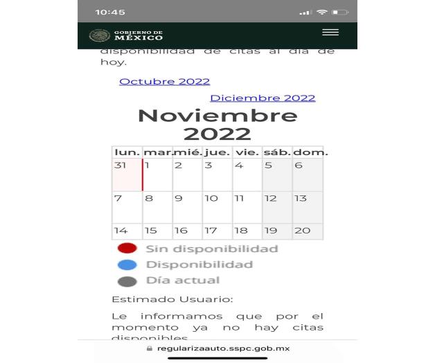 Abrirán citas para regularizar autos