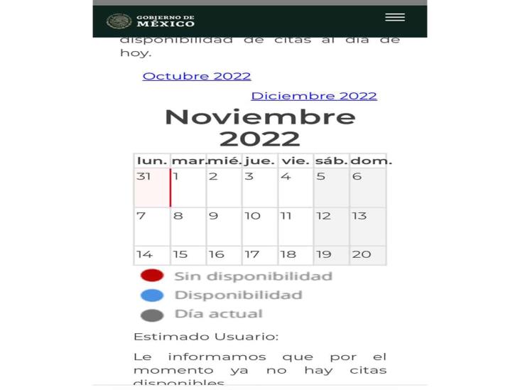 Abrirán citas para regularizar autos Abrirán citas para regularizar autos