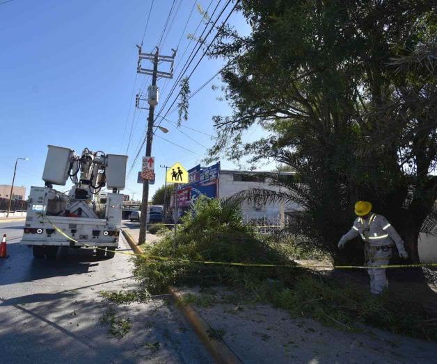 CFE quita ramas que obstruyen