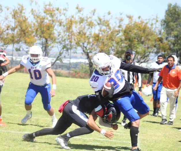 Los Correcaminos regresan al nido