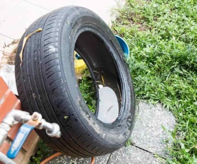 Pone dengue en guardia a Salud