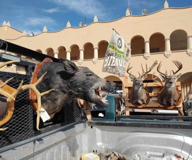 Por iniciar temporada de caza de venado cola blanca