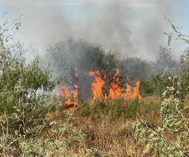 Se registra incendio en baldío