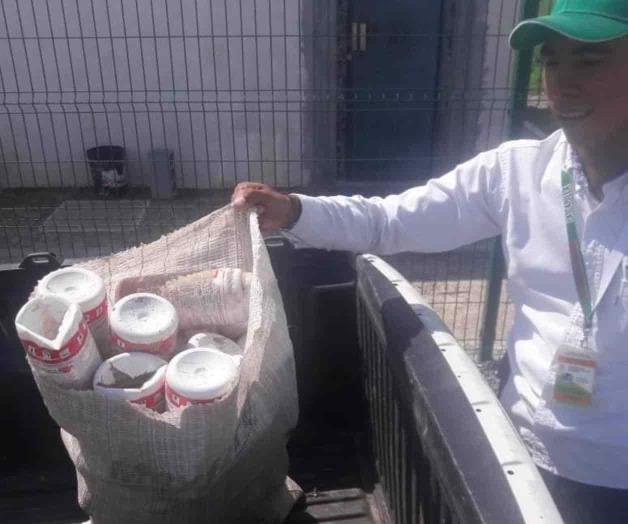Invitan a productores no tirar los envases de agroquímicos
