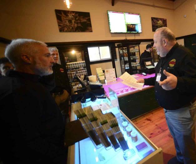 De traficantes de marihuana a ¡empresarios!