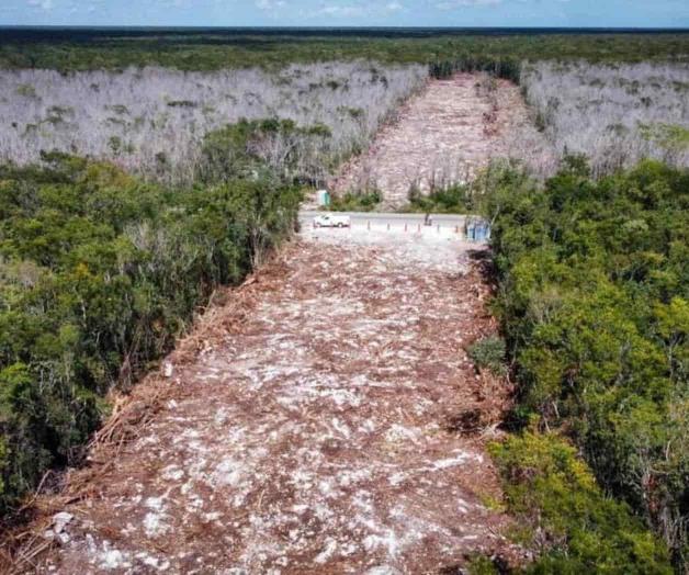 Tunden a Torruco por Tren Maya; será un éxito, responde