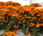 Vienen desde Puebla a ofrecer flor de cempasúchil
