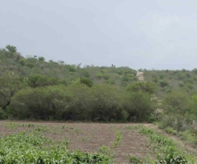 Advierten fuertes multas contra cazadores furtivos Advierten fuertes multas contra cazadores furtivos