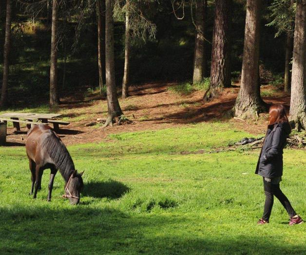 Practica micoturismo