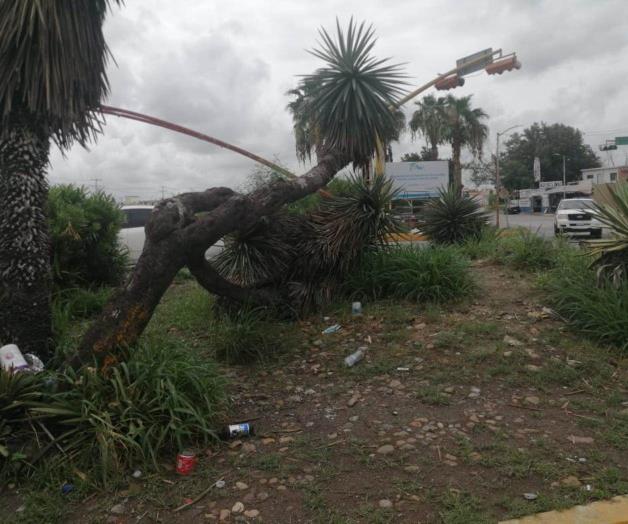 Convierten áreas verdes en basureros