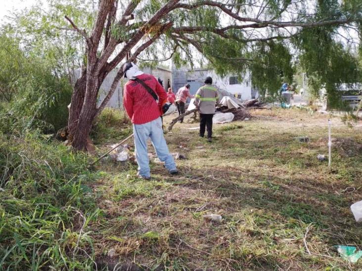 Previenen presencia de zancudos transmisores del dengue Previenen presencia de zancudos transmisores del dengue