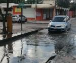 REYNOSA | Es calle del taco, la calle del charco