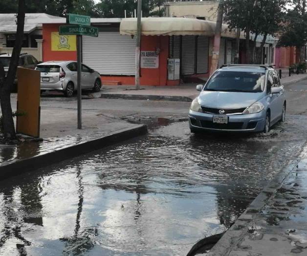 Es calle del taco, la calle del charco