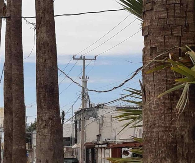 Cable cuelga peligrosamente en transitada avenida