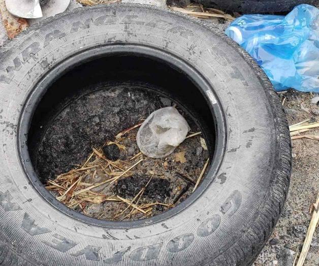 Sigue campaña de descacharrización