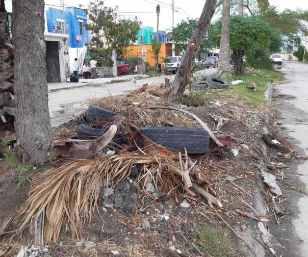 Demandan vecinos limpia de camellones