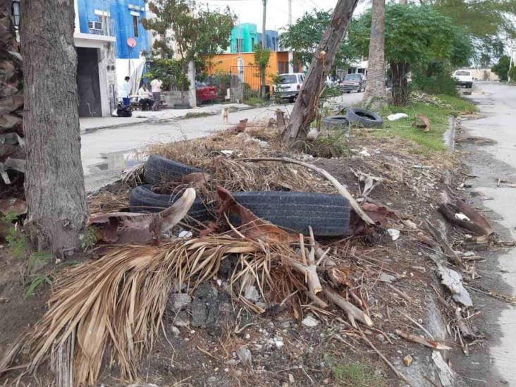 Demandan vecinos limpia de camellones Demandan vecinos limpia de camellones