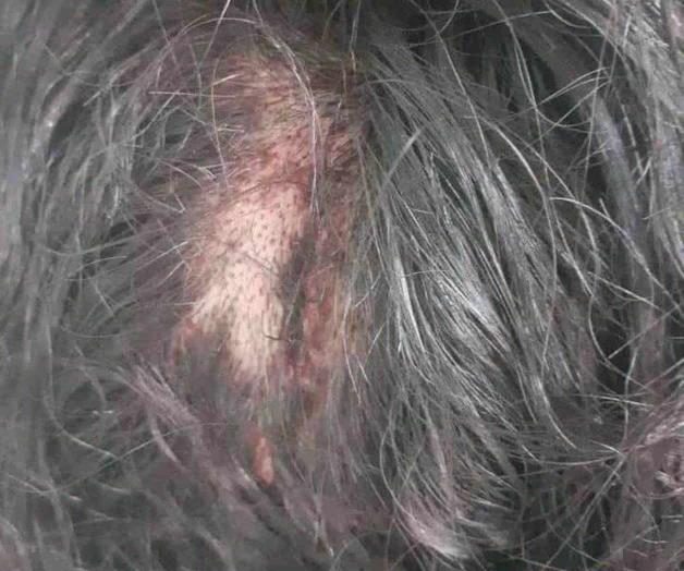 Asaltan en zona centro