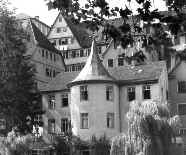 La locura de Friedrich Hölderlin La locura de Friedrich Hölderlin