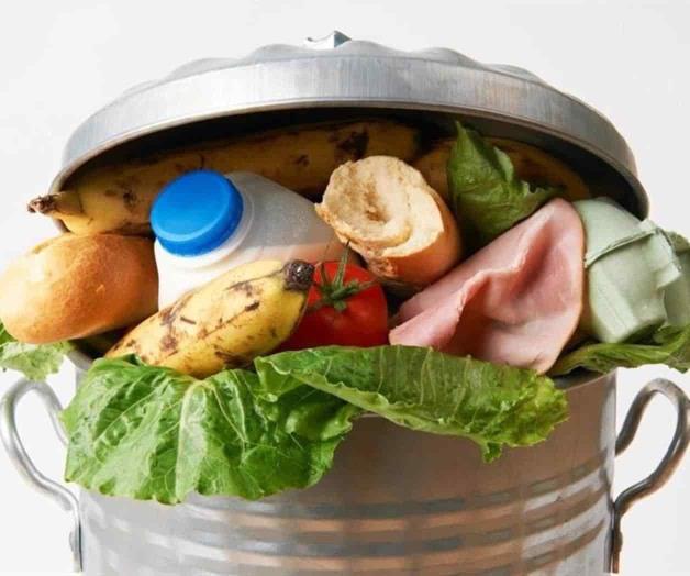 Con propuestas, alumnos de la Anáhuac participan en COP27