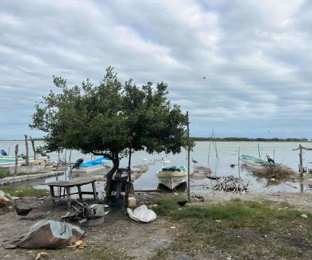 Pescadores esperan apoyos de Bienestar