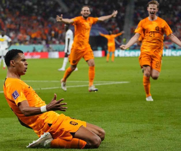 Paises Bajos sufre, pero saca el triunfo