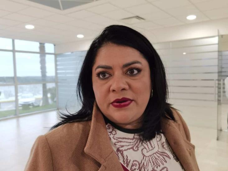 Preparan morenistas arribo a la Ciudad de México Preparan morenistas arribo a la Ciudad de México