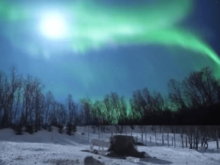 La NASA lanza dos cohetes a las entrañas de una aurora boreal La NASA lanza dos cohetes a las entrañas de una aurora boreal