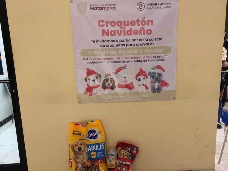 Activan campaña “Croquetón Navideño” Activan campaña “Croquetón Navideño”
