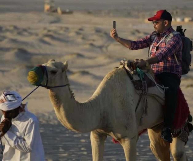 Por fans del Mundial, camellos no descansan en Qatar