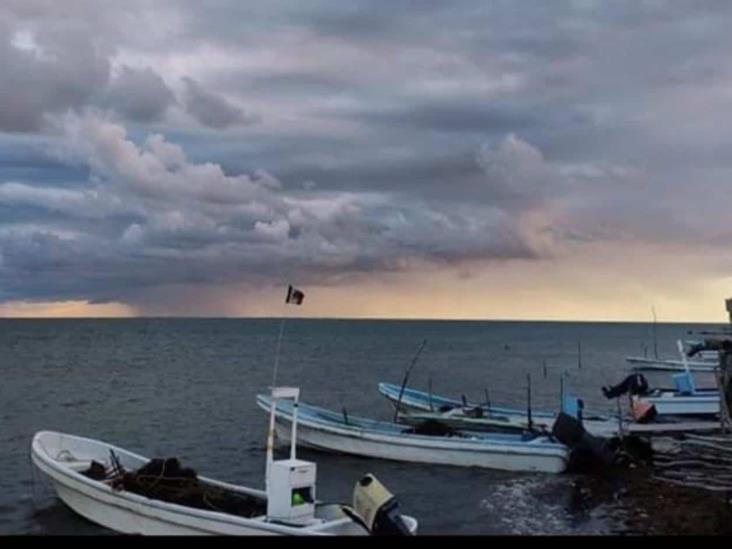Desde mañana, veda temporal de Lisa, Liseta y Lebrancha Desde mañana, veda temporal de Lisa, Liseta y Lebrancha